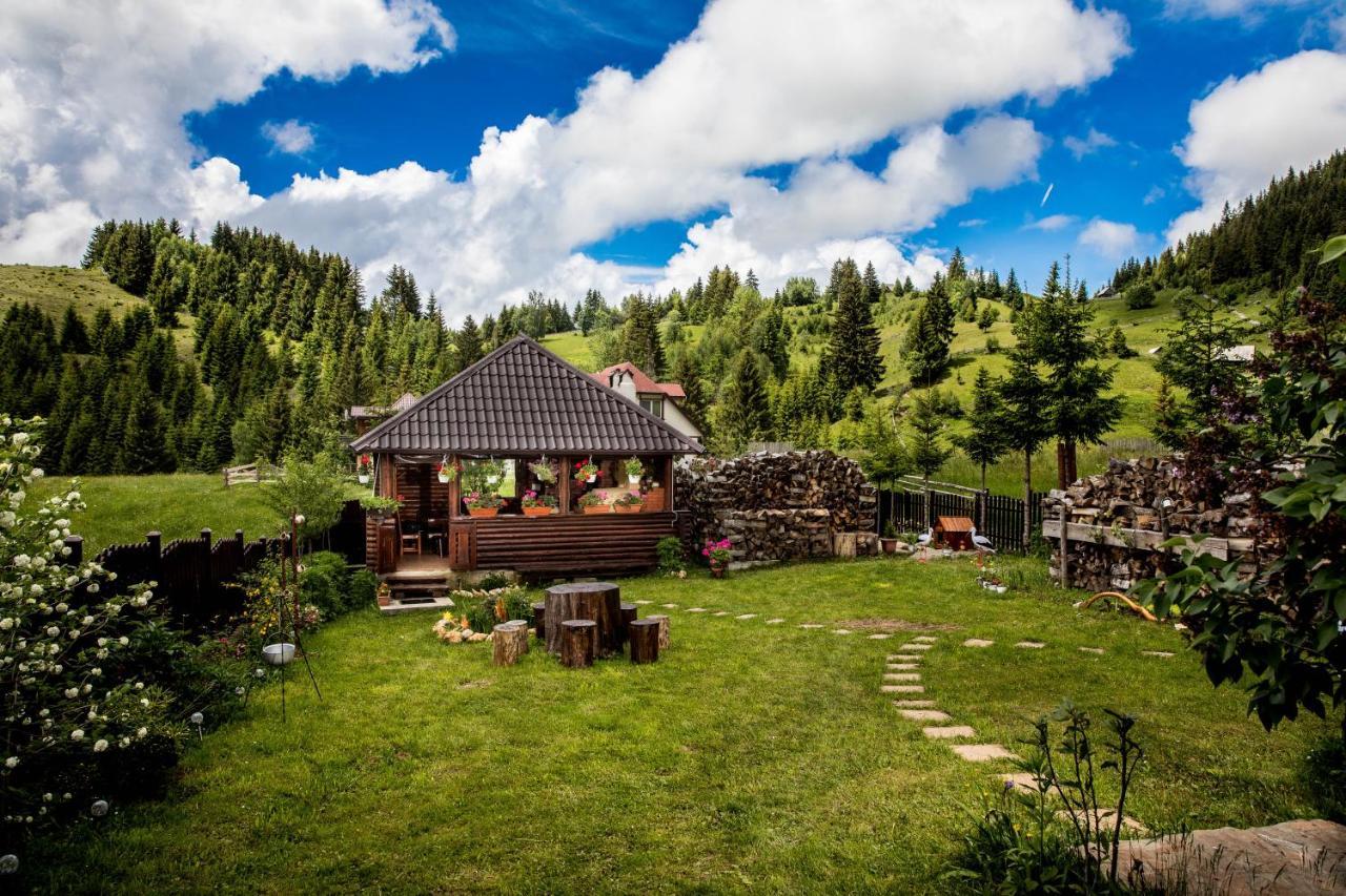 Casa Cerbul Villa Fundata Dış mekan fotoğraf