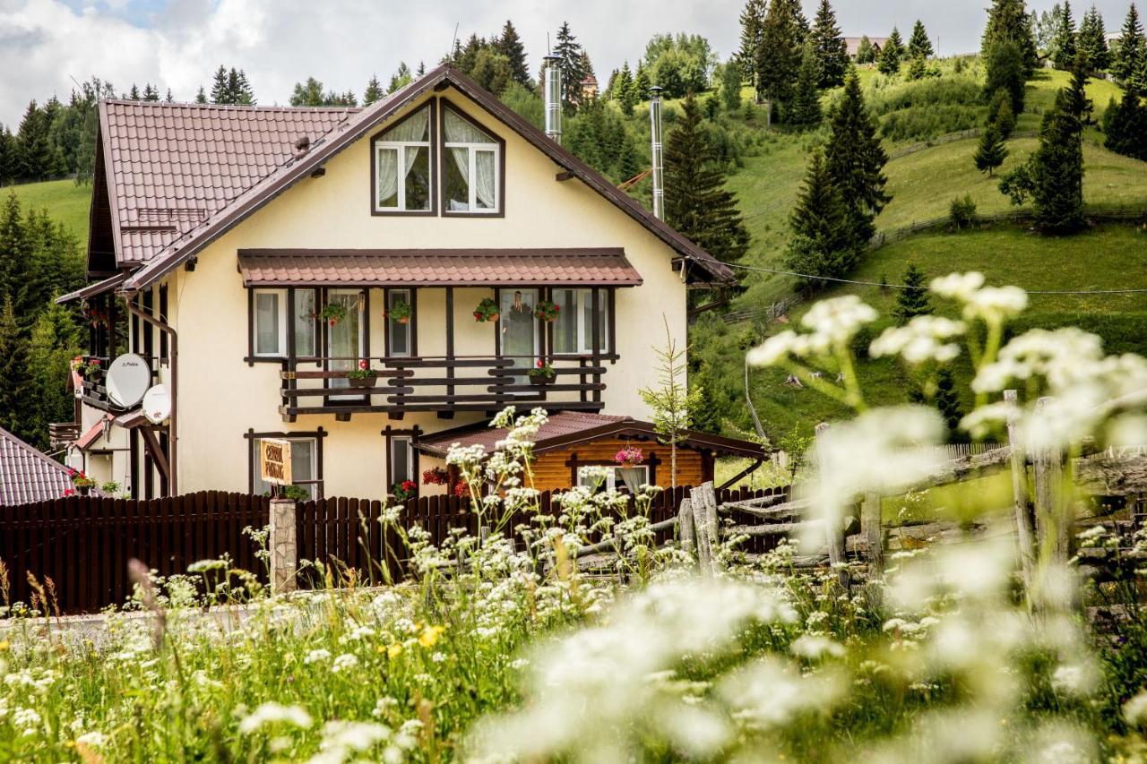 Casa Cerbul Villa Fundata Dış mekan fotoğraf