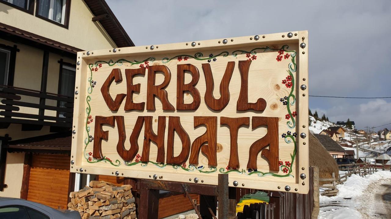 Casa Cerbul Villa Fundata Dış mekan fotoğraf